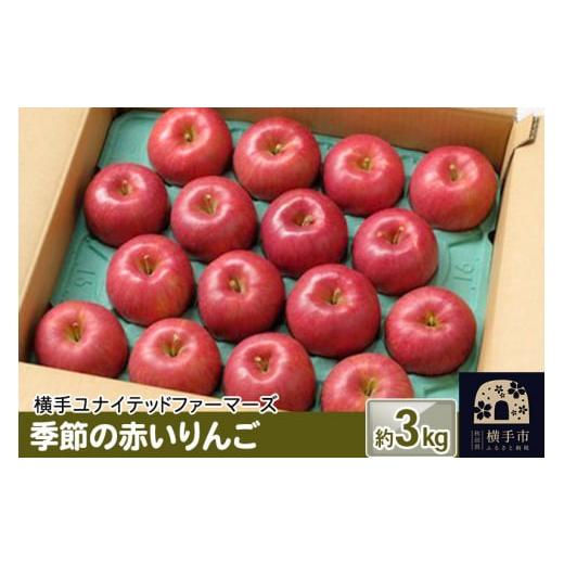 ふるさと納税 秋田県 横手市 季節の赤いりんご 約3kg