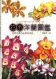 花市洋蘭圖鑑－台灣洋蘭的品賞與栽培[二手書_良好]