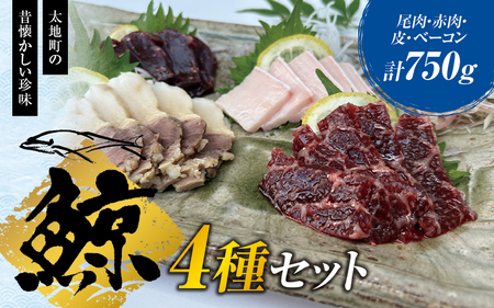 鯨肉セット （尾肉100g×1・赤肉150g×3・皮100g×1・ベーコン100g×1）／刺身 クジラ くじら クジラ肉 くじら肉