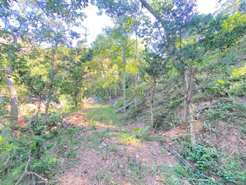 新竹低總價休閒美地A｜新竹市新竹市海山段