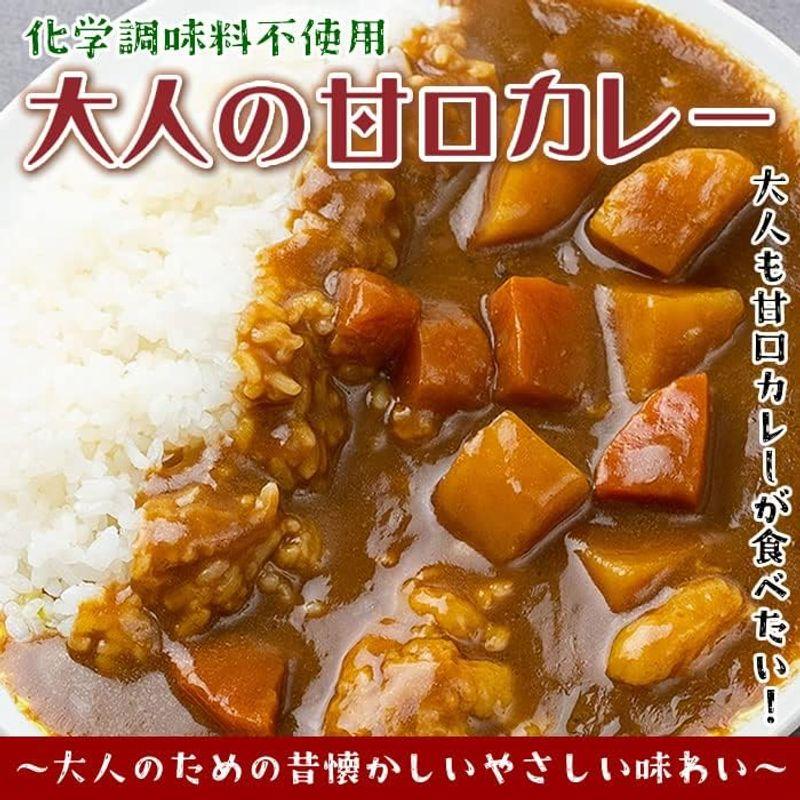 大人の甘口カレー（ビーフカレー） 10食まとめ買いセット 化学調味料不使用 国産野菜使用