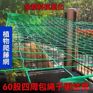 ❄️好物精選丨新款園藝種爬藤網攀爬搭架絲瓜百香果豆角藤蔓花卉加粗網格網 BZCD