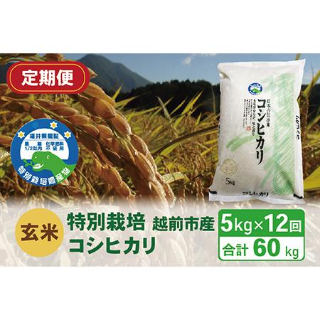 ふるさと納税 〈先行予約〉（令和5年度新米 玄米）特別栽培 越前市産コシヒカリ 5kg×12回 福井県越前市