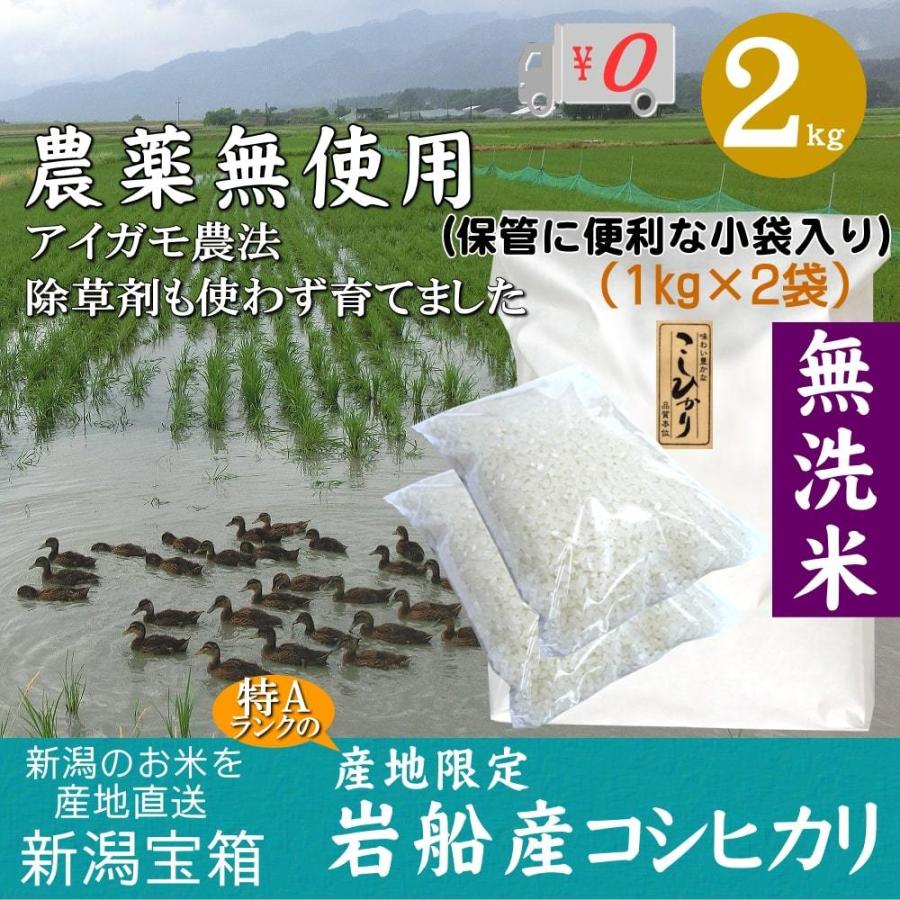 農薬無使用 米 新潟県岩船産コシヒカリ 無洗米 1kg×2袋 2kg お米 白米 特A 送料無料