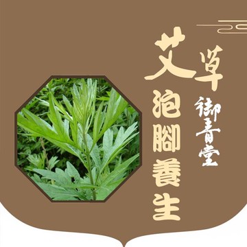 御青堂野生艾草/乾艾葉/泡腳/泡澡/洗淨/平安草大包裝家庭號(600g)