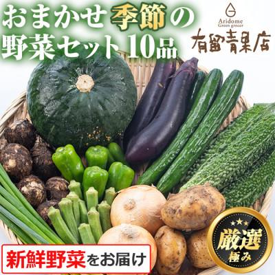 ふるさと納税 東串良町 自慢の農家×老舗青果店　新鮮野菜おまかせセット