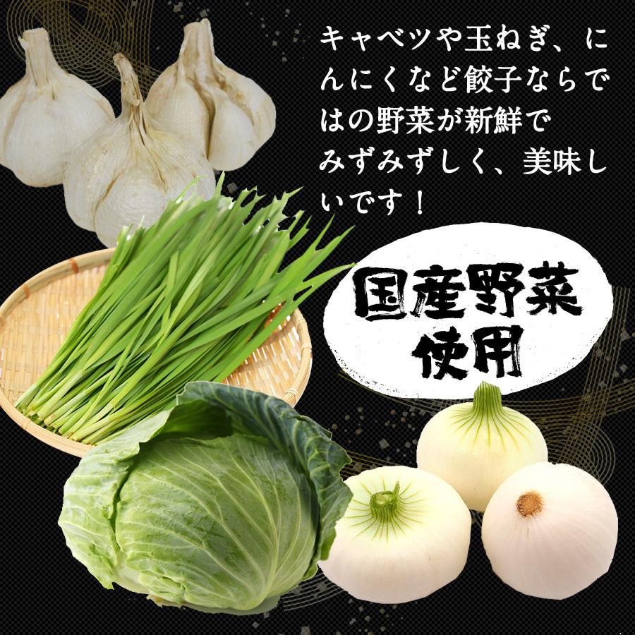 餃子 取り寄せ 送料無料 業務用 冷凍 生餃子 国産素材 時短 お手軽 簡単 大容量 餃子計画 業務用の特製生餃子 200個袋入