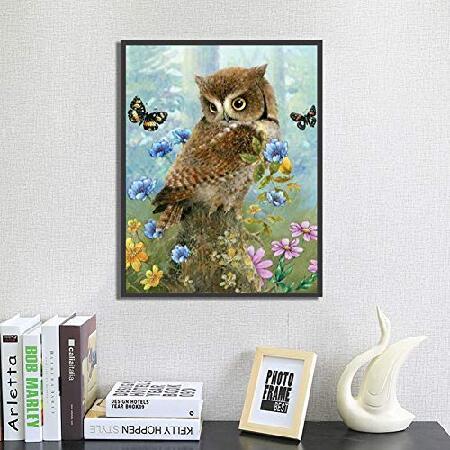 New 5D Diamond Painting Kits for Adults Kids, Awesocrafts Cute Owl Butterfly Blue Flowers Full Drill DIY Diamond Art Embroidery Paint by Numbers with