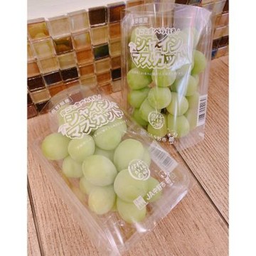 日本 長野 中野 麝香葡萄｜日本進口水果  1盒 / 350g+-5%