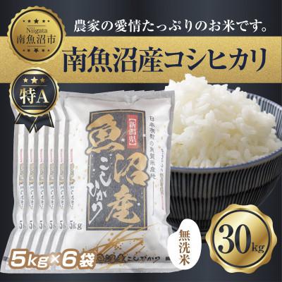 ふるさと納税 南魚沼市 南魚沼産 コシヒカリ 5kg×6 計 30kg(お米の美味しい炊き方ガイド付き)