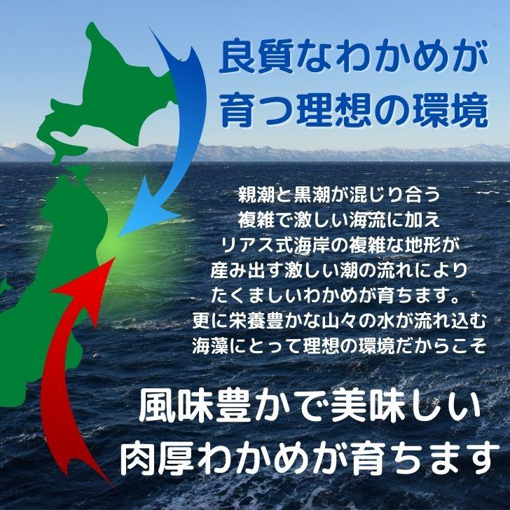 三陸産 カット わかめ 200g 送料無料 国産 乾燥わかめ カットワカメ 若布 無添加 お徳用 スープ 味噌汁 サラダ