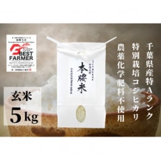 本腰米(玄米)5kg 特Aコシヒカリ