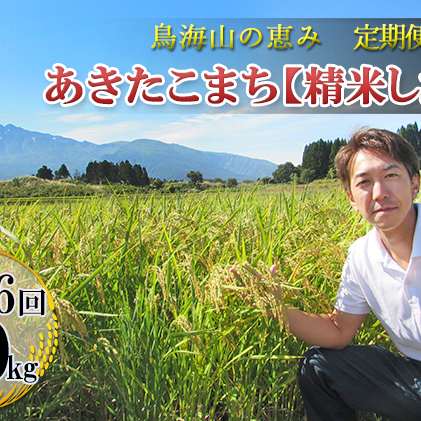 2ヶ月ごとに5kg×6回 鳥海山の恵み 農家直送！ あきたこまち（隔月）［精米 したて！］