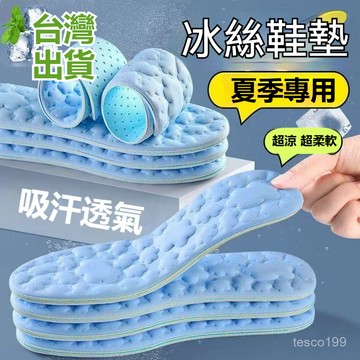 臺灣倉🙌8H出🔥夏季冰絲鞋墊女款專用吸防臭男踩屎感冰感透氣超軟防痛久站不纍 雲朵冰足鞋墊 冰絲鞋墊 人體工學按摩鞋墊 踩