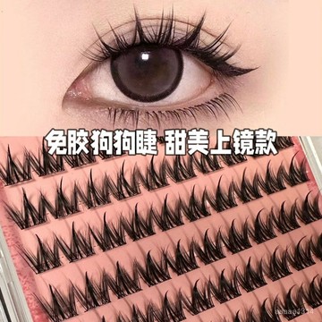 🐶100簇大容量免膠小奶狗犬係假睫毛 懶人濃密自然漫畵仿真款 分段新款易貼 日常淡妝 /濃妝適配 新手簡易操作