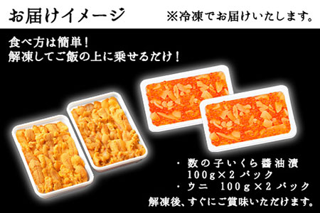 1253. 数の子・いくら醤油漬け 100g前後 2パック 計200g イクラ 魚卵 うに ウニ チリ産 冷凍 雲丹 100g前後 2パック 計200g 海鮮丼 送料無料 北海道 弟子屈町