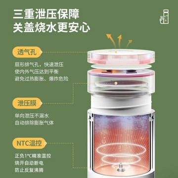 專用旅行便攜式燒水壺出差家用燒水杯小型電熱杯出國臺灣養生110V