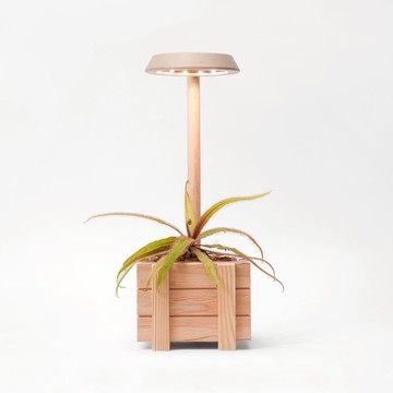 【Leaf'n Joy】原木盆智慧植物燈 原木色 原木植物燈 智能APP控制 L12-W118