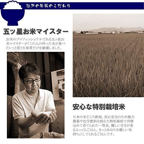 新米 令和4年産 特別栽培米 一等米 山形県産 つや姫 5kg×2袋 10kg