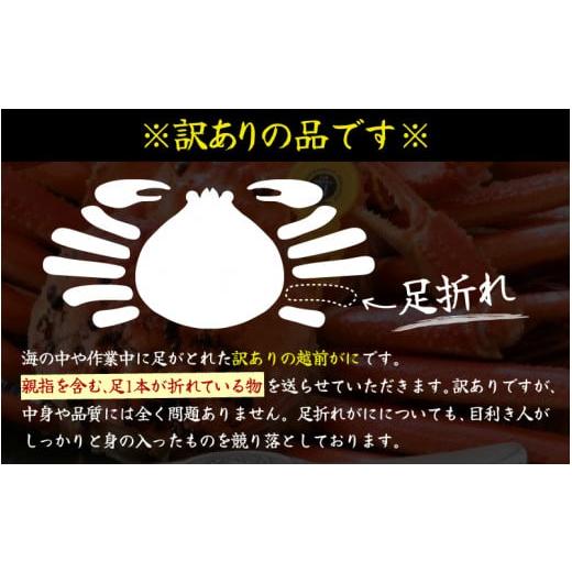 ふるさと納税 福井県 坂井市 名人が茹でる 指折れ訳あり越前がに(大)1杯 1kg前後 やまに仕込み [K-4301_01]