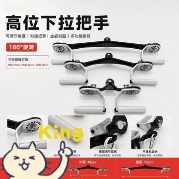 【臺灣出貨】360 度可旋轉萬向拉背把手 高位下拉坐姿划船訓練 龍門架纜繩機專用握把 加厚高承重防扭手腕 背部重訓多功能