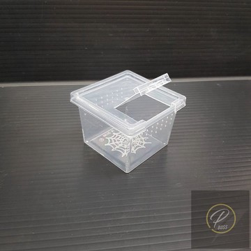 P老闆水族~爬蟲 小方盒 飼養箱 蜘蛛 守宮  兩棲 爬蟲 角蛙 迷你小方盒