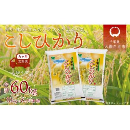 ふるさと納税 ＜6ヶ月定期便＞千葉県産「コシヒカリ」10kg×6ヶ月連続 計60kg 千葉県大網白里市