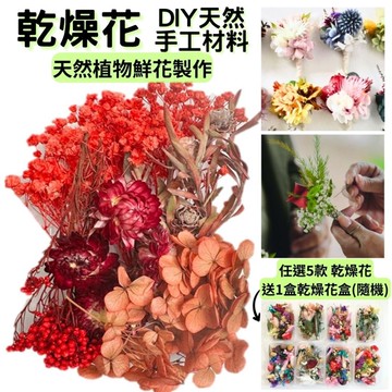 【A-ONE】DIY材料包 乾燥花材料包 畢業禮物聖誕節 情人節永生花乾燥 乾燥花 浮游花材 教學乾燥花 A13 光輝火焰_廠商直送