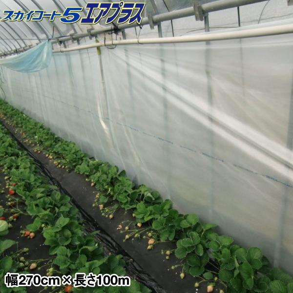 タキロンシーアイ　独立気泡構造農業用PO　スカイコート5エアプラス　幅270cm×長さ100m