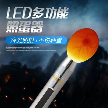 免運費🔥照蛋器手電筒驗蛋孵蛋可充電孵化專用照蛋燈冷光LED種蛋檢查機器