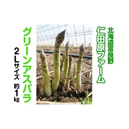 ふるさと納税 朝採り 富良野市 グリーン アスパラ 2Lサイズ  約1kg  (仁田原ファーム) 北海道富良野市