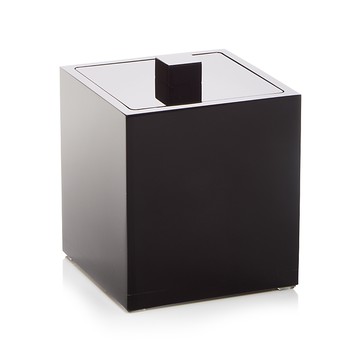 Mike and Ally Ice Container
