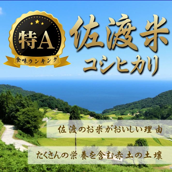 新米 令和５年 米 お米 30kg コシヒカリ 玄米 30kg  新潟県佐渡産天日干 コシヒカリ  ｜ 玄米 米 お米 30kg 送料無料 ｜