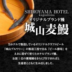 SHIROYAMA HOTEL kagoshima 城山麦鰻　K096-007 薩摩 さつま 大人気鰻 人気鰻 鹿児島産鰻 鹿児島県産鰻 大人気うなぎ 人気うなぎ 鹿児島産うなぎ 鹿児島県産うなぎ 麦鰻 ブランド鰻 うな丼 鰻丼 ひつまぶし 白焼 城山麦鰻 養殖 贅沢 肉厚 ふっくら タレつき 鰻のタレ 城山ホテル