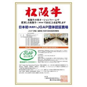 ふるさと納税 SS-63　松阪牛ホルモン 300ｇ×2 三重県多気町