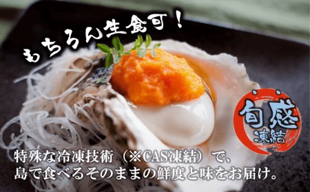 ブランド岩牡蠣「春香」殻なしタイプ Mサイズ×10個（1.6kg～2.2kg）