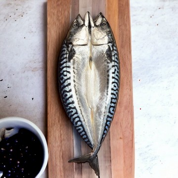 【一夫水產】挪威-頂級鯖魚(350公克 / 尾)-廠商直送