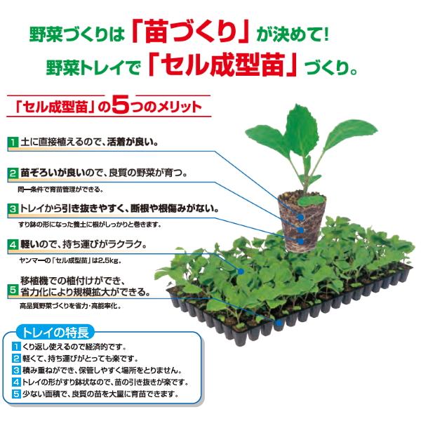 ヤンマートレイ　25角　200穴　100枚