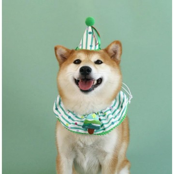 服飾鞋帽 貓狗聖誕項圈 聖誕項圈