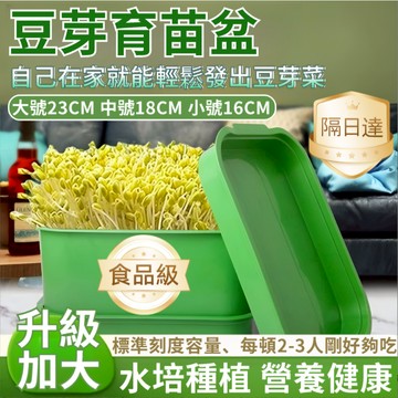 隔日達⚡台灣現貨⚡新款豆芽發芽盆【加大號】自發豆芽種菜盆 水培育苗盆 芽苗菜豆芽盆 育苗盆 豆芽盆 豆芽自發盆 水耕蔬菜