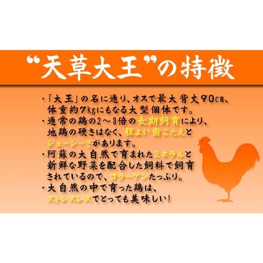 ふるさと納税 熊本県 阿蘇市 希少！くまもと地鶏　天草大王　むね肉　1kg