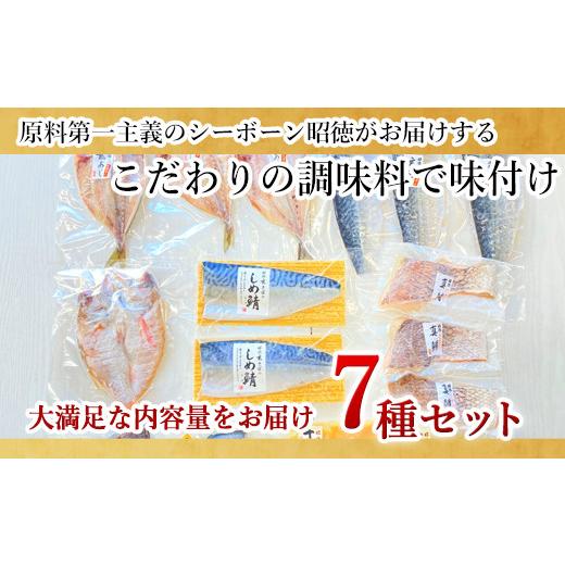 ふるさと納税 佐賀県 唐津市 目利きが選んだごちそう旬魚 7種9枚7切 セット あじ さば ぶり さわら 真鯛 赤むつ 干物 粕漬け しめ鯖 みりん醤油漬け 味噌漬け …