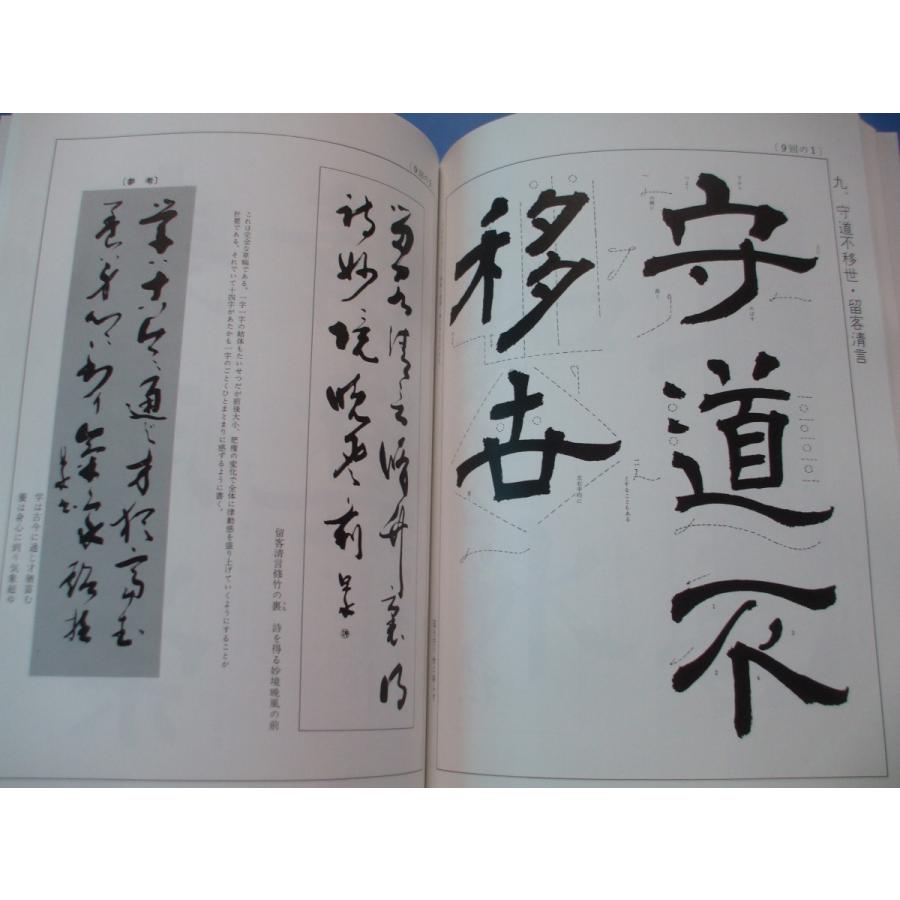 楽しく学ぶ はじめての書道 大貫 思水 編著