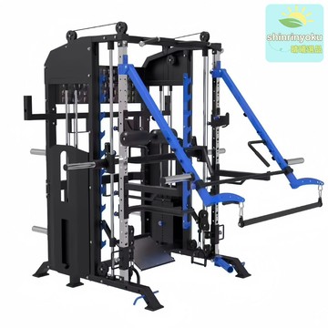 【家商兩用】史密斯龍門架 綜合訓練器 深蹲架 臥推架 飛鳥架 力量訓練器 多功能一體 單人站設計 家用商用健身 全身肌肉訓練