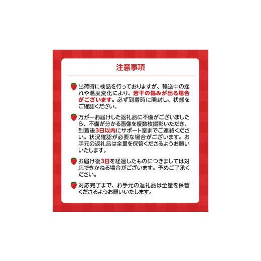 ふるさと納税 福岡県 久留米市 いちごの王様！8玉〜15玉（2パック）2月から発送