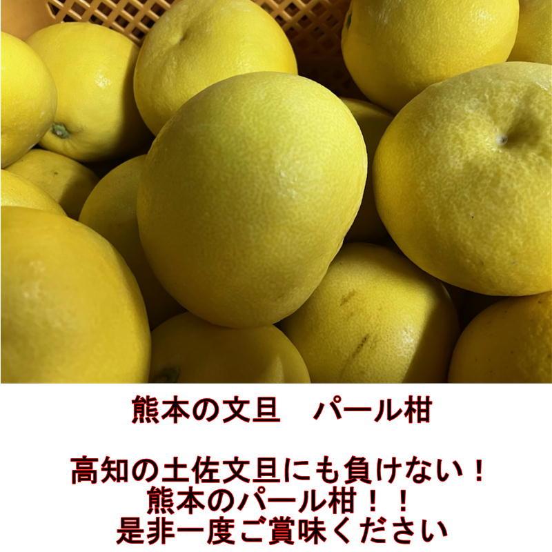 パール柑　秀品　約4キロ　文旦　土佐文旦の仲間　大橘　ブンタン　熊本産　みかん ミカン 蜜柑　80サイズ