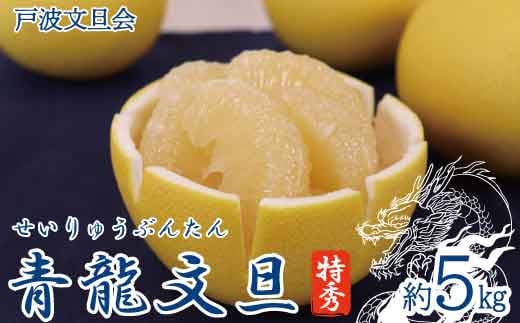 《戸波文旦会》 青龍文旦（せいりゅうぶんたん） 特秀 約5kg（2L～4L混合サイズ）高知産 みかん 柑橘 フルーツ 文旦 ぶんたん ブンタン 果物 お取り寄せ おいしい 故郷納税 18000円 ふるさとのうぜい 返礼品 高知県 高知 土佐市