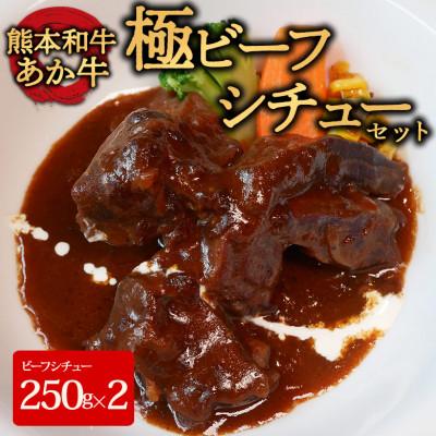 ふるさと納税 阿蘇市 あか牛極ビーフシチュー2個セット(あか牛ビーフシチュー250g×2)(阿蘇市)