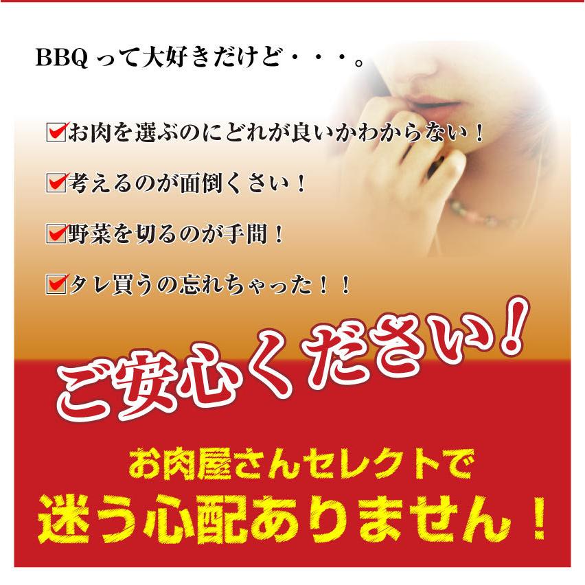 焼肉 セット 牛肉 肉 バーベキュー メガ盛り 野菜付 6〜8人前 BBQ 焼くだけ 福袋 グルメ お歳暮 ギフト 食品 プレゼント キャンプ キャンプ飯