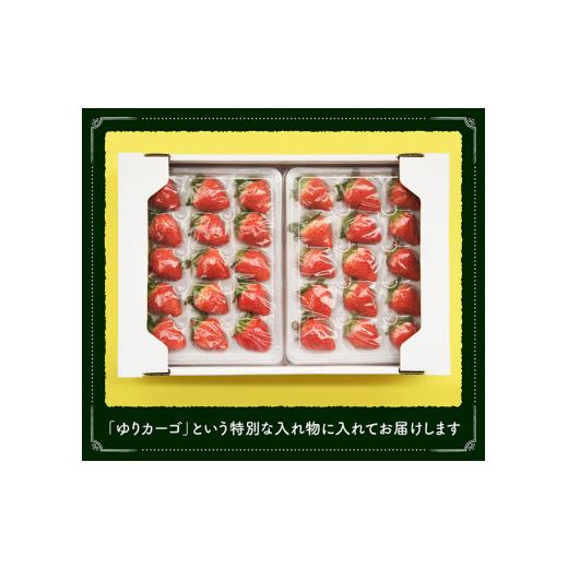 ふるさと納税 宮崎県 川南町 宮崎県産 いちご 『さがほのか』（Ｌ〜2Ｌ） 2パック 